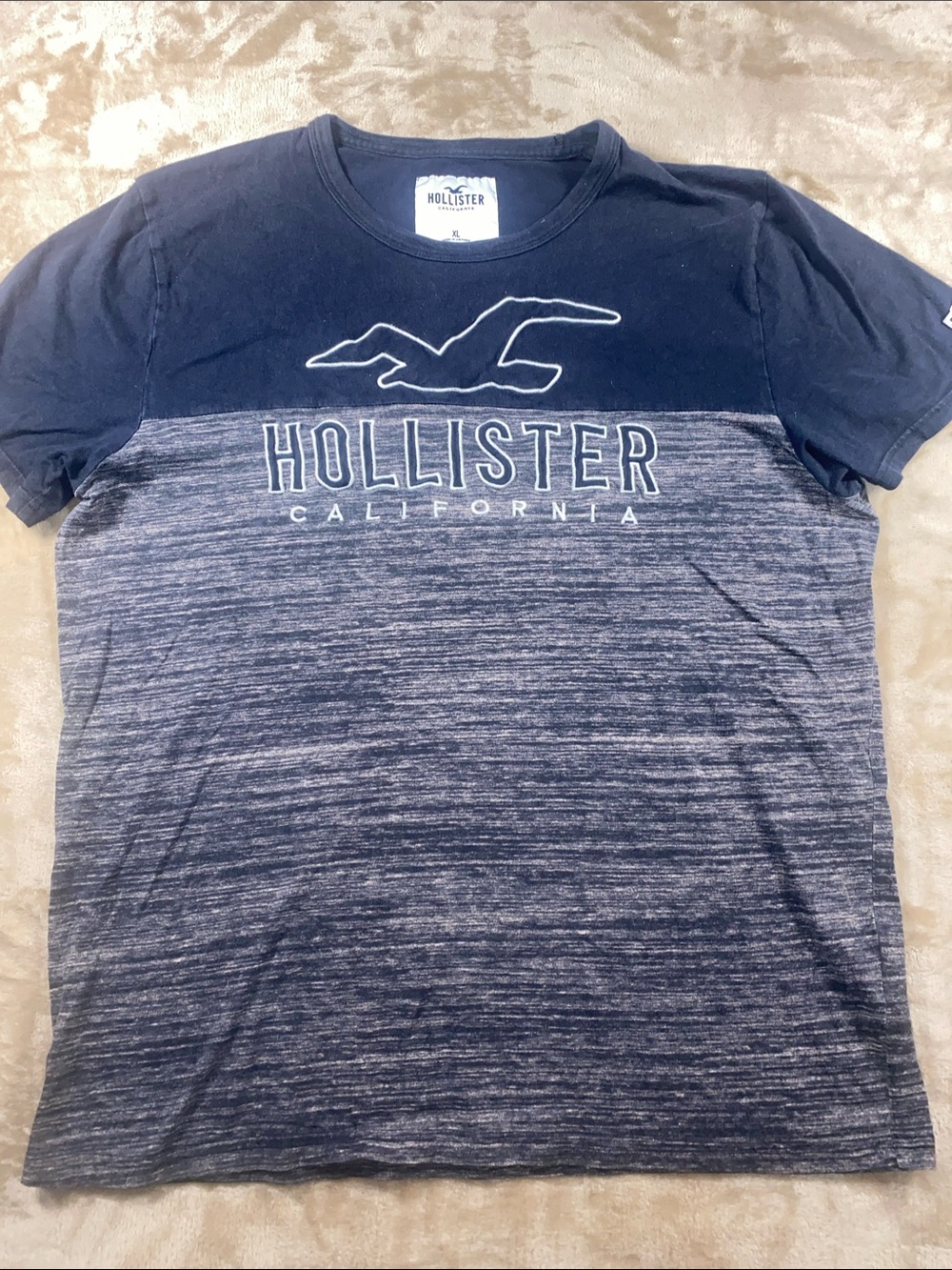 Hollister Ombre Seagull Graphic Short Sleeve Tee